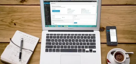 ücretsiz wordpress temaları